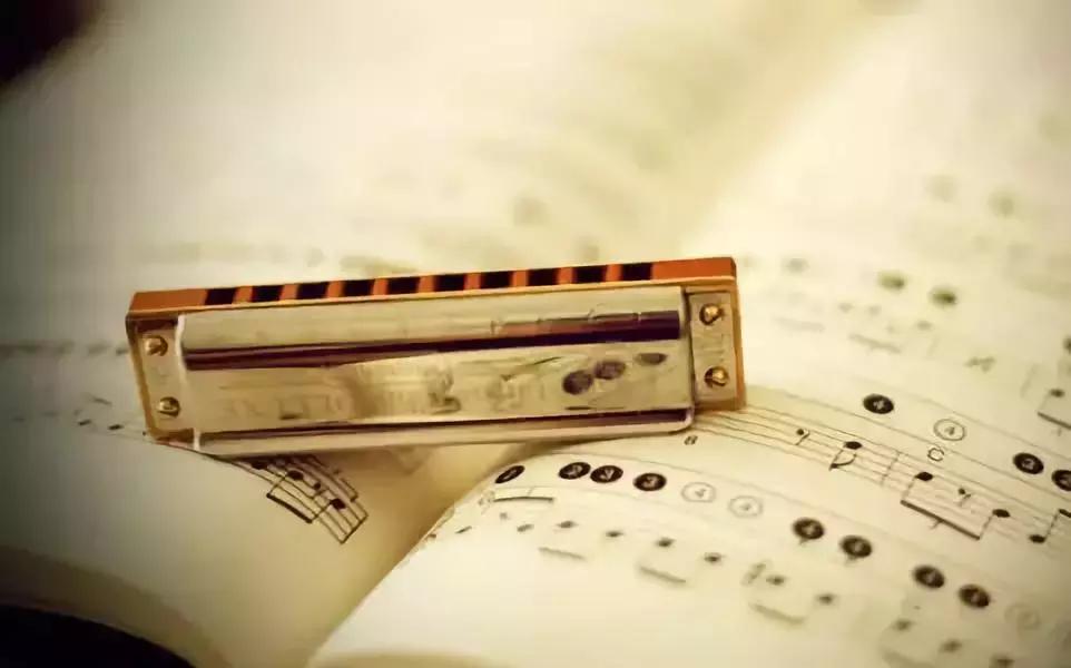 半音阶口琴和十孔口琴哪个更难学,新手学口琴入门零基础教程