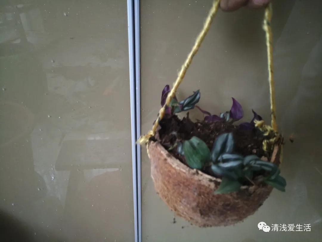 养花老是缺土缺花盆，动手用身边随处可见的改造一下就能轻松解决