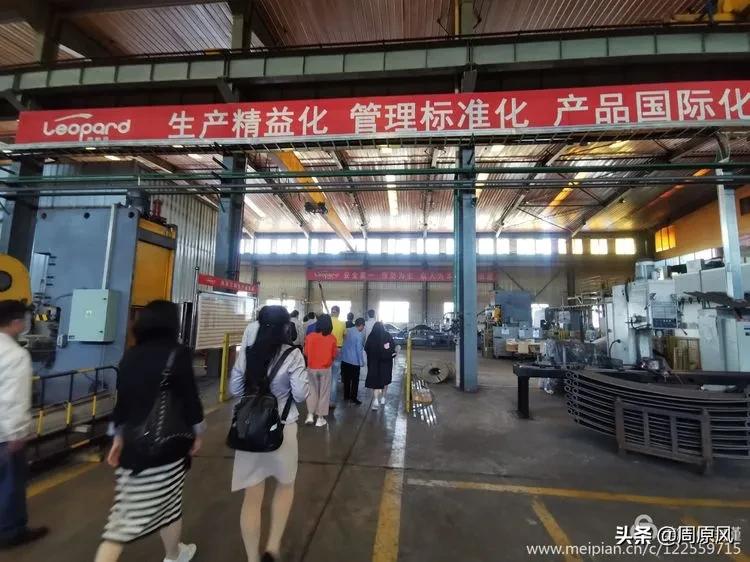 赴一场春日的邀约,五月赴一场与槐花的约会