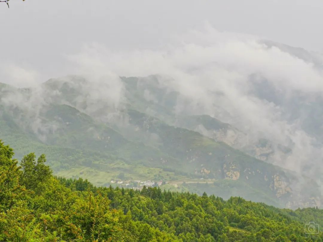 徒步穿越北驼梁完整版,穿越花海古道游记