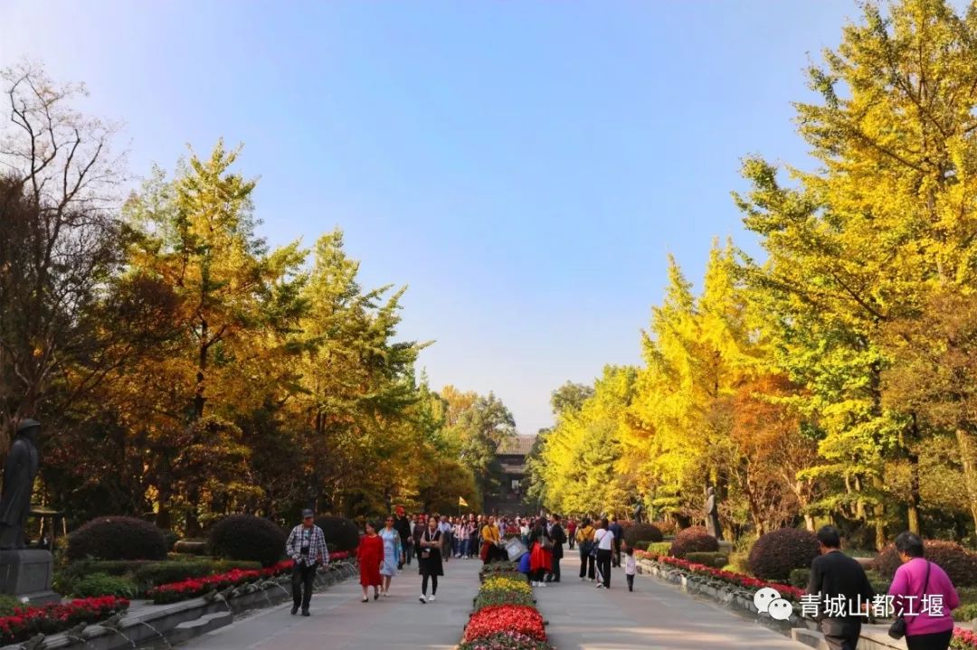 坐上公交去旅行!跟着这条101路线,带你玩遍大半个都江堰~一站一景,吃喝玩乐一网打尽!