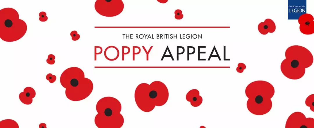 双十一不剁手战胜多少人,双十一不剁手买东西