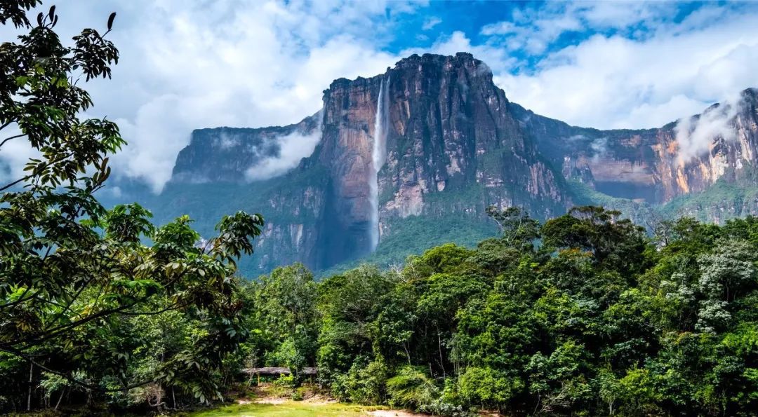 委内瑞拉的最新状况,委内瑞拉为啥不靠石油发展