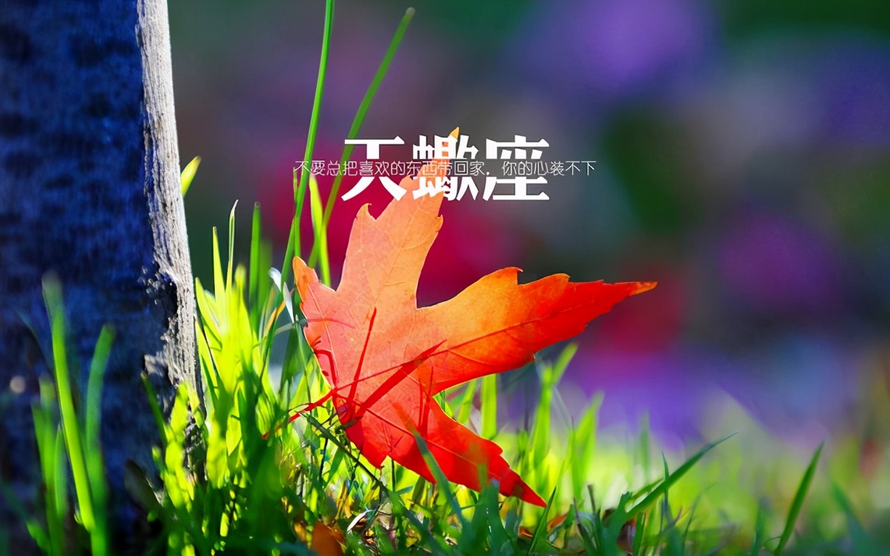 聪明智慧有格局的星座,智慧出众这3个星座最不缺聪明人