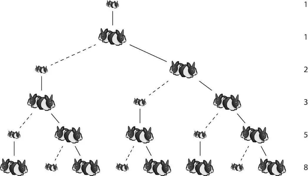 兔子到底有多惨,兔子是不是很吓人