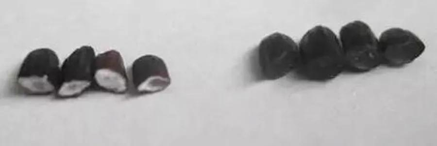 食物染黑的办法,什么是易掉色食物