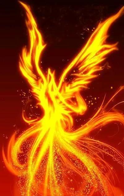 凤凰涅盘浴火重生英文怎么说,浴火重生凤凰涅槃