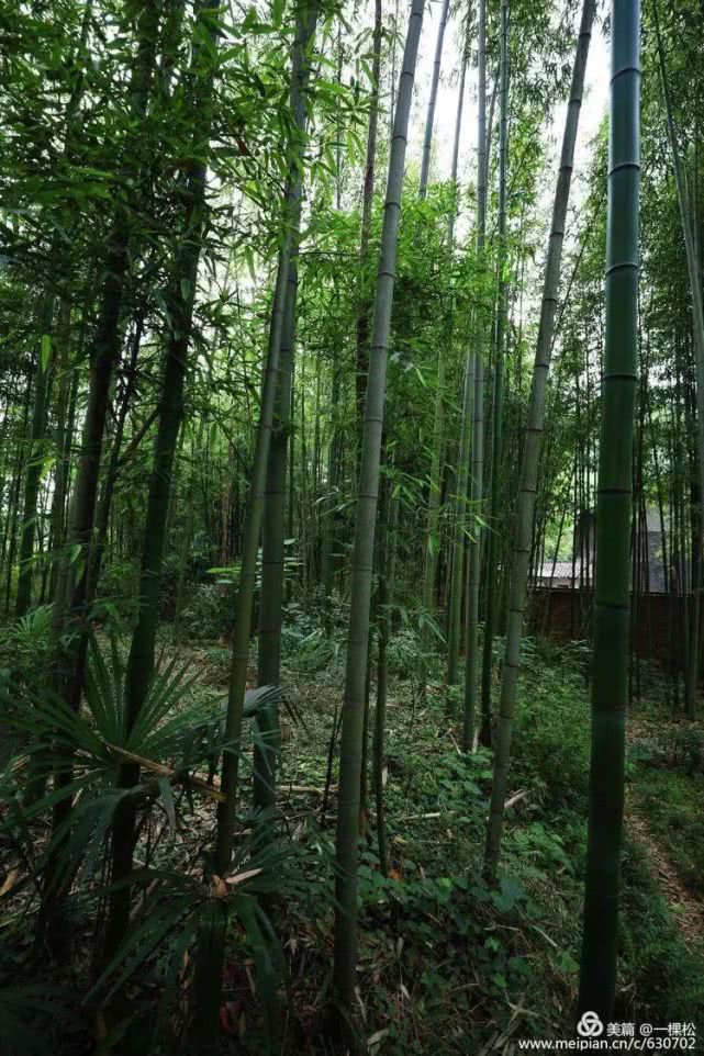 西乡周边景色美的地方,西乡哪里有夜景好看的