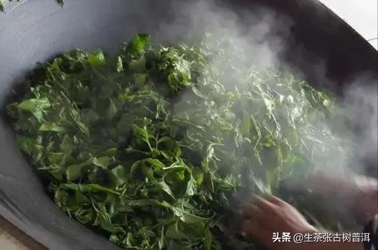 普洱生茶制作全工序,生普洱茶制作工艺的全过程