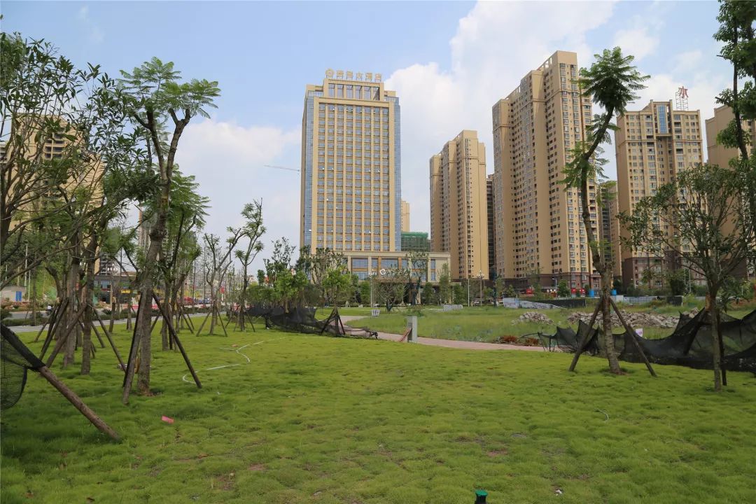 富顺老城区新面貌,震撼富顺城东大变化