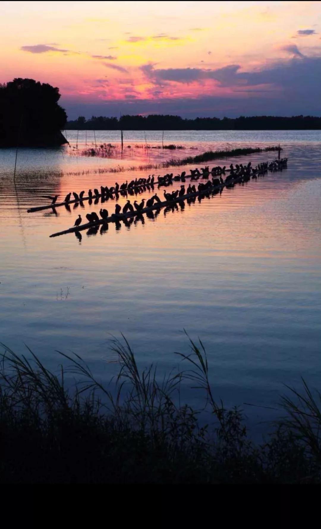 五湖四海是指哪些地方,深圳五湖四海指的是哪里