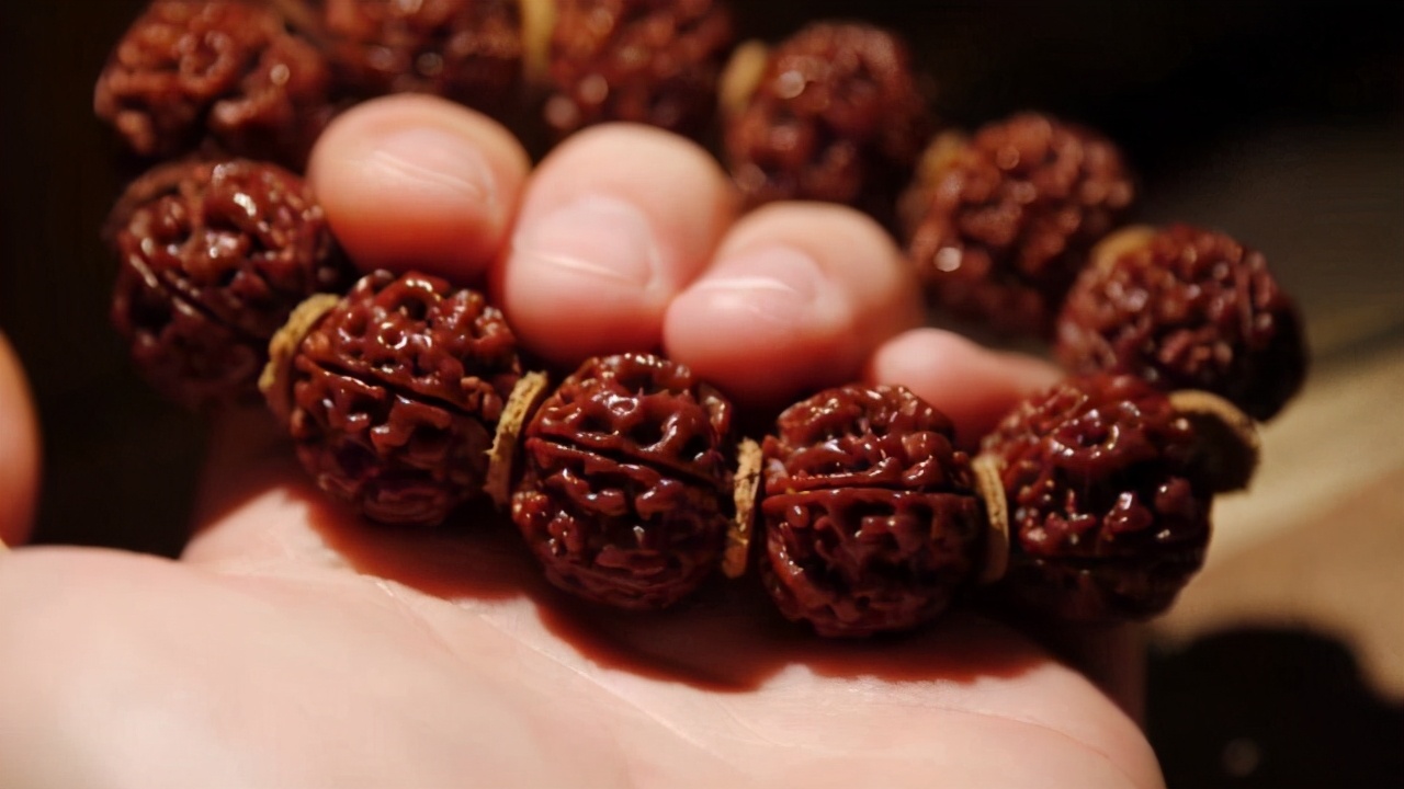 现在不玩金刚菩提了都玩什么,金刚菩提的基础知识