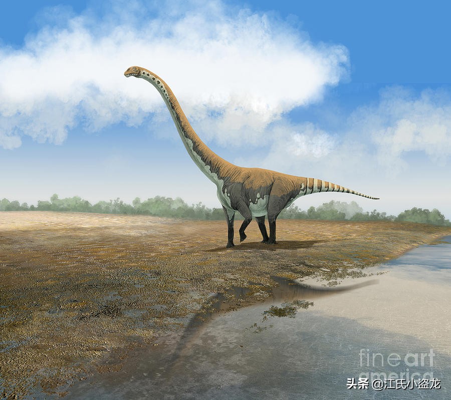 古生物时代有多少种恐龙,人类已经发现了多少恐龙种类