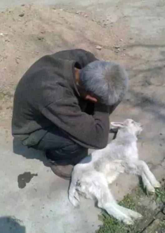 【*今条头日**】兴县街头大中午一点多拍到的一幕，辛酸，想哭！