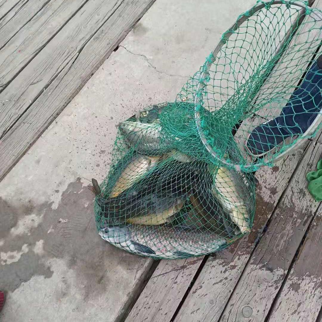 北京蟹岛,北京蟹岛一日游