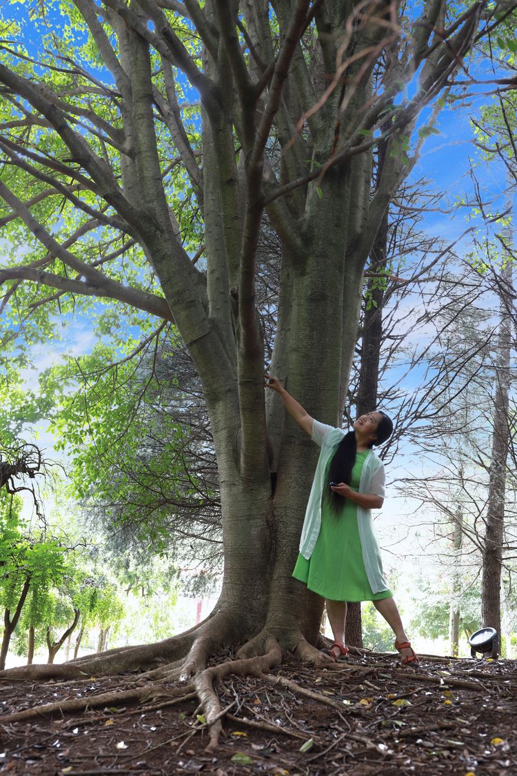 抚仙湖孤山上有什么景点,抚仙湖里的小岛