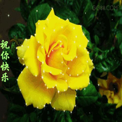 早上问候知己安心话语,早安问候语经典一句话