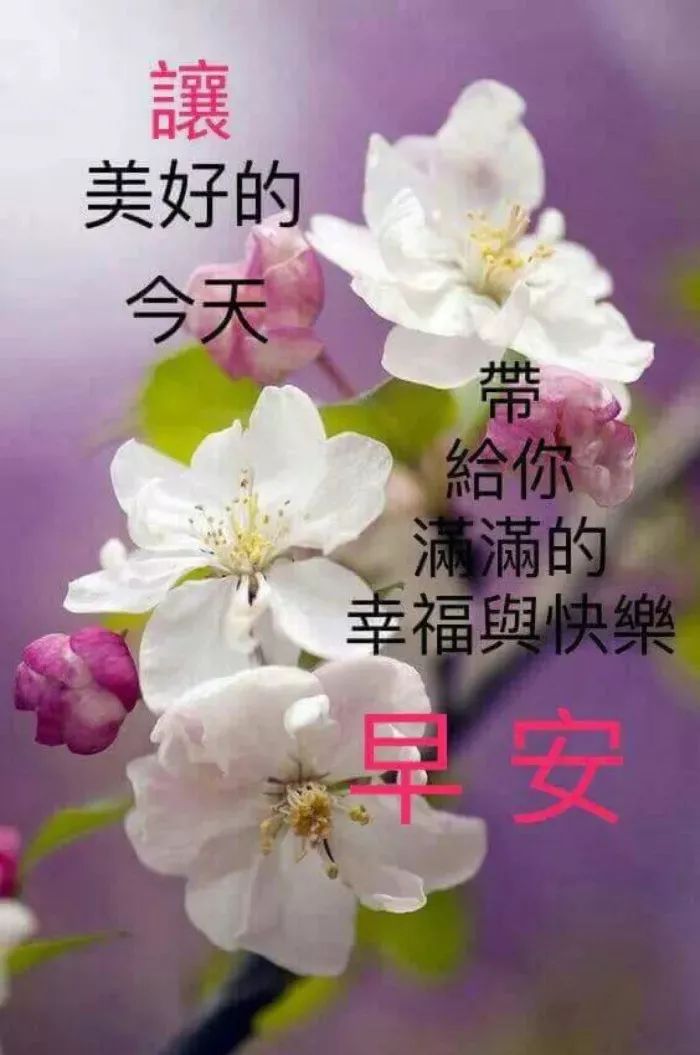 下大雪注意路滑动态表情,大雪问候动态图片