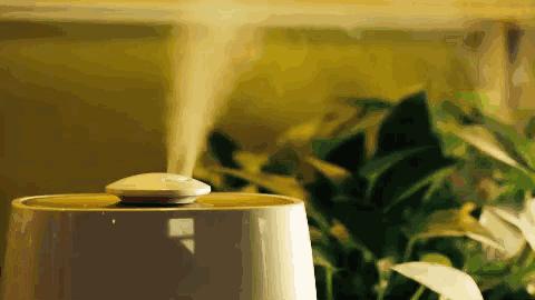 儿童春季咳嗽有痰最快解决方法,春季过敏咳嗽怎么办最有效的方法