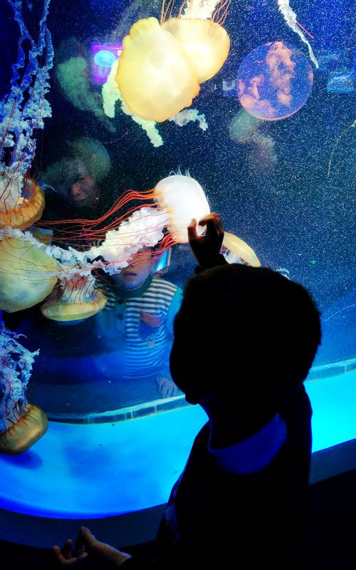 与爱同行发现之旅携南宁儿童康复中心“星星”快乐游