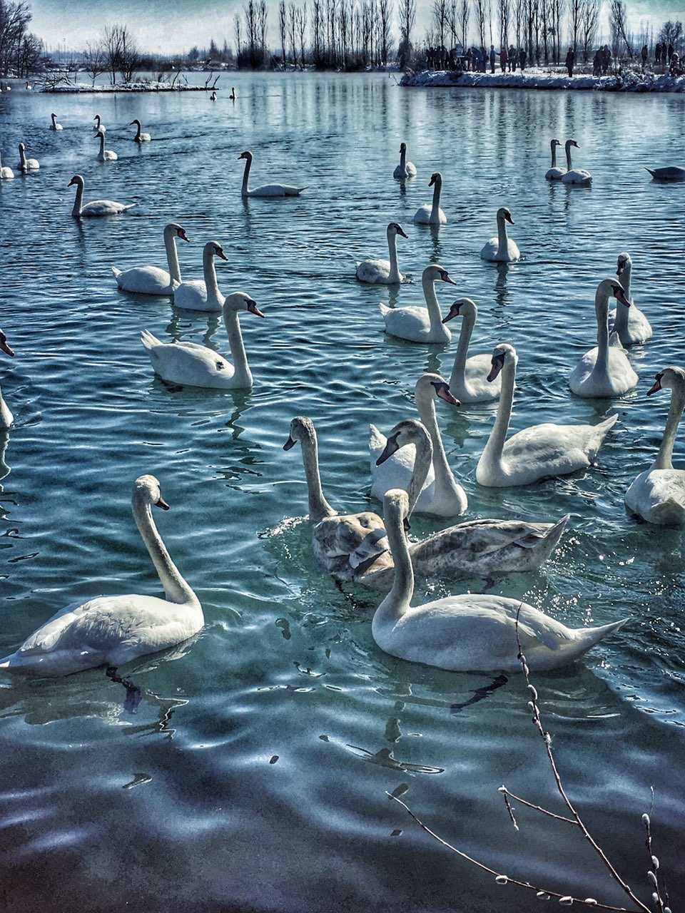 小说漂泊第四部,漂泊小说第三章