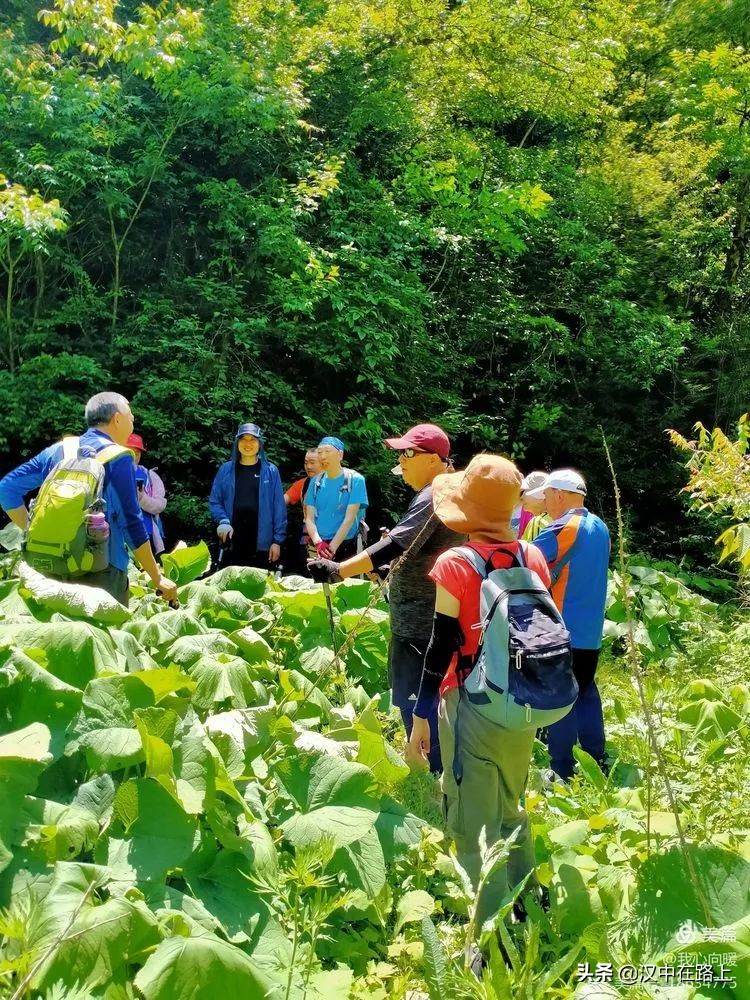 汉中圈子崖天坑,汉中镇巴圈子崖天坑旅游攻略