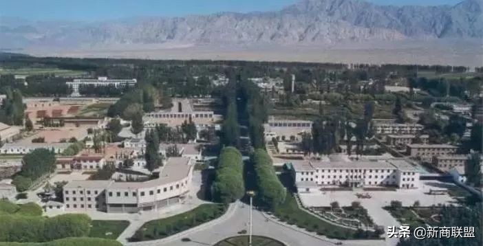 揭秘*疆新**马兰