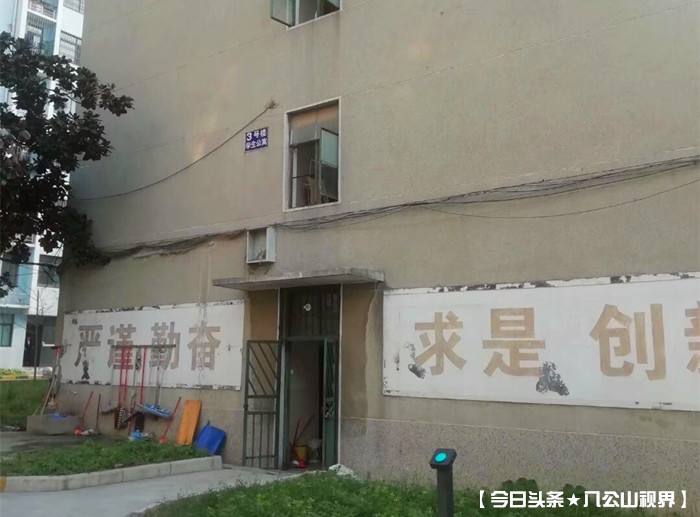 我的大学完整版歌曲,淮南师范学院大专