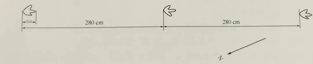 发现一亿年前的恐龙脚印,观往知来论据