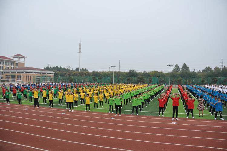 洛阳小升初信息,洛阳市小升初最新消息