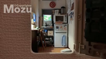 日本造假天才少年，这手艺活可太秀了