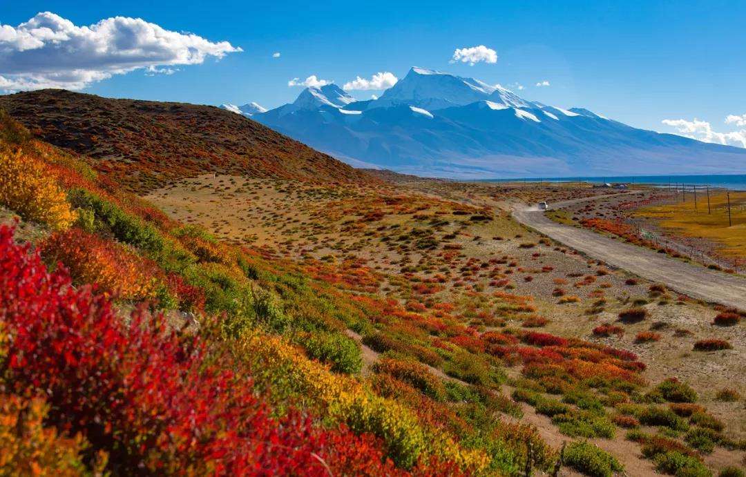 11月这个季节适合去哪里旅游最好,惬意的秋天最适合去旅行