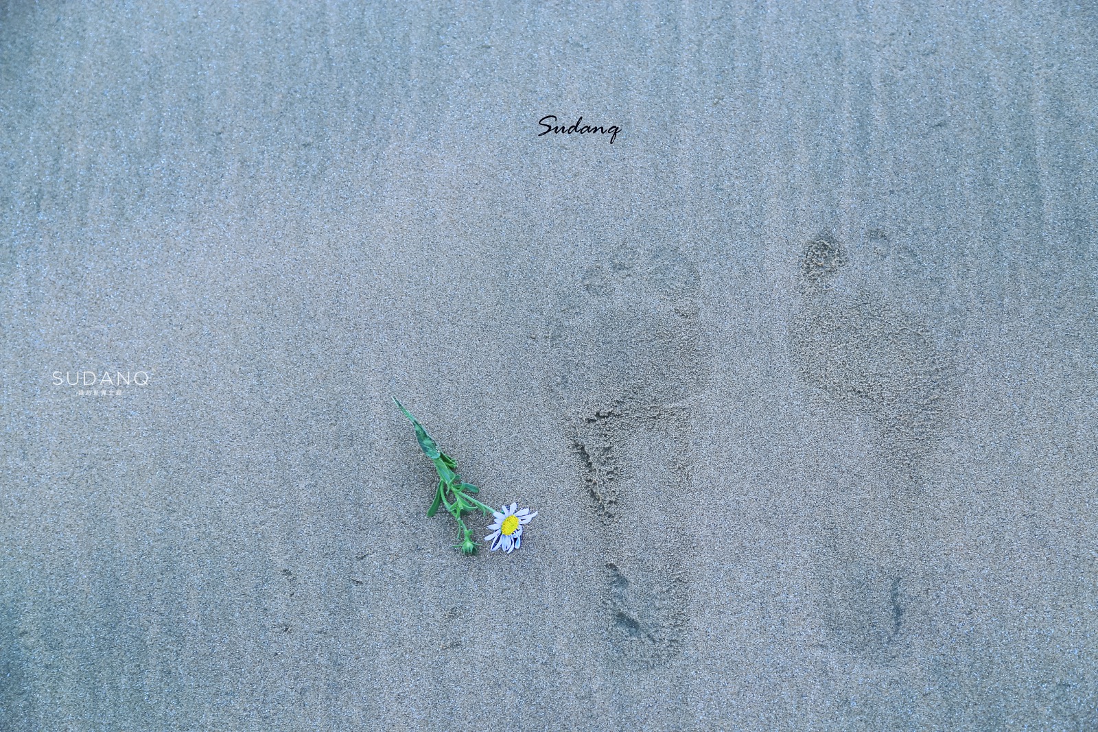 陆地尽头是哪里,海上仙山嵊泗列岛