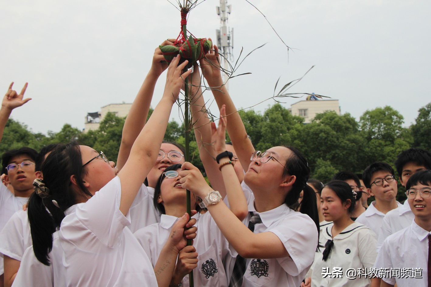 合肥育英学校2022中考,合肥育英中学中考成绩2020年