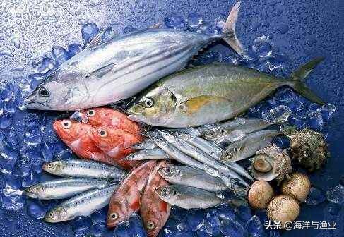 国家水产养殖主推技术及品种2023,水产养殖新技术新品种推介工作