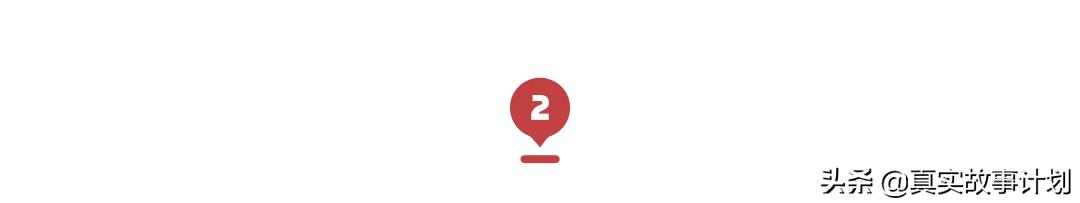 养猫真实故事,负债养猫的真实事例