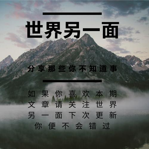 法国葡萄酒怎么分级,法国葡萄酒等级与价格表