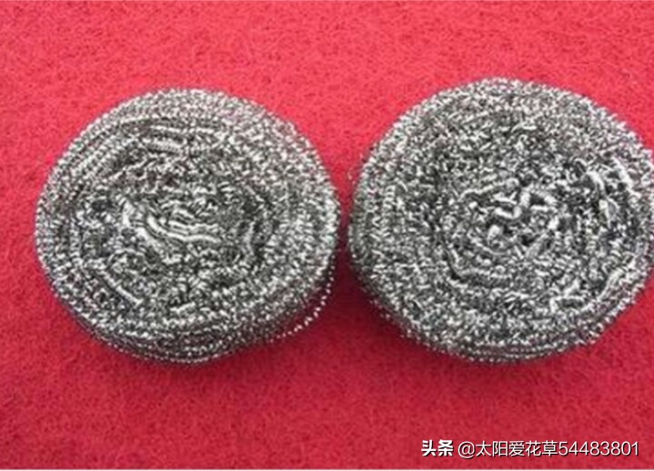 养花在花盆底下垫什么东西最好,养花盆用什么垫底好