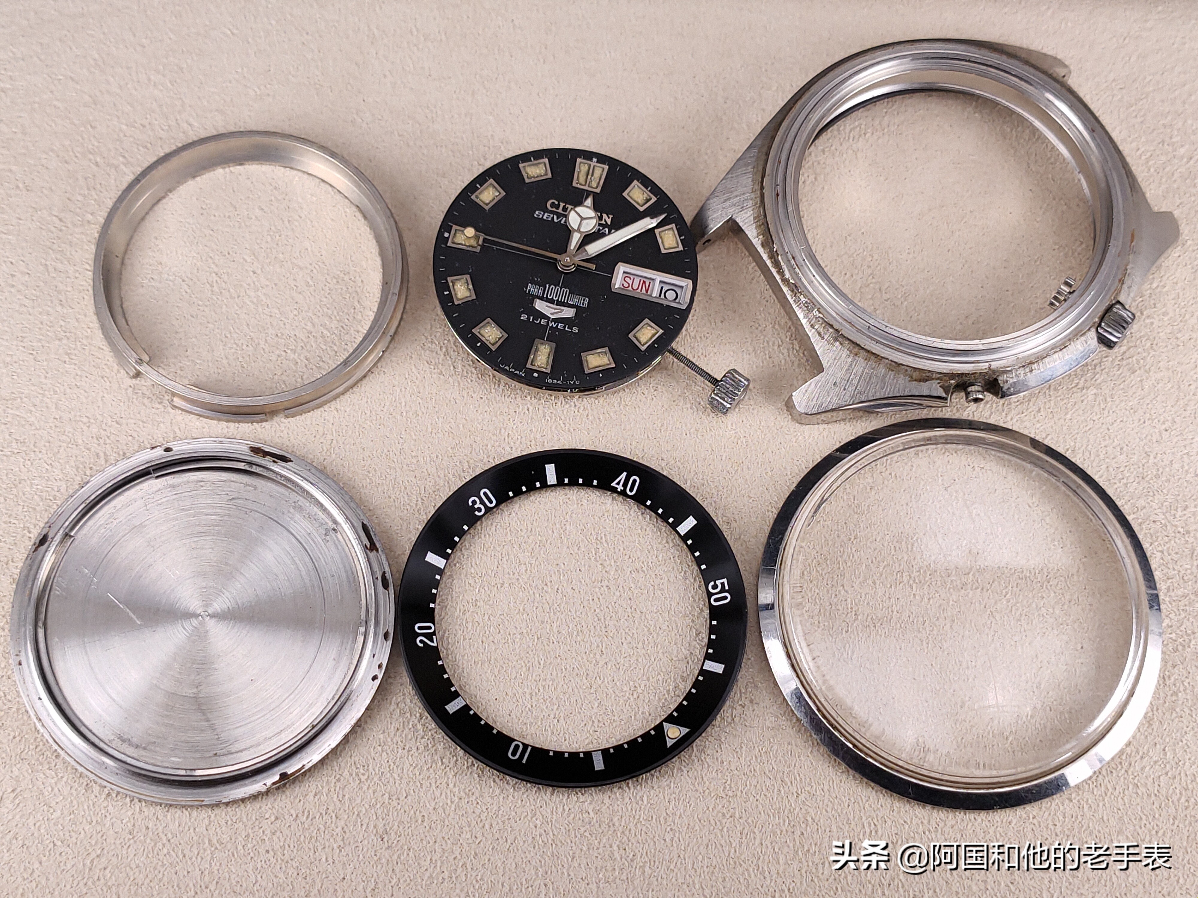 50年后的相见两只西铁城水鬼