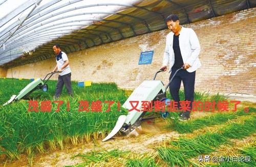 t+0战法从入门到精通视频,t+0战法详解视频