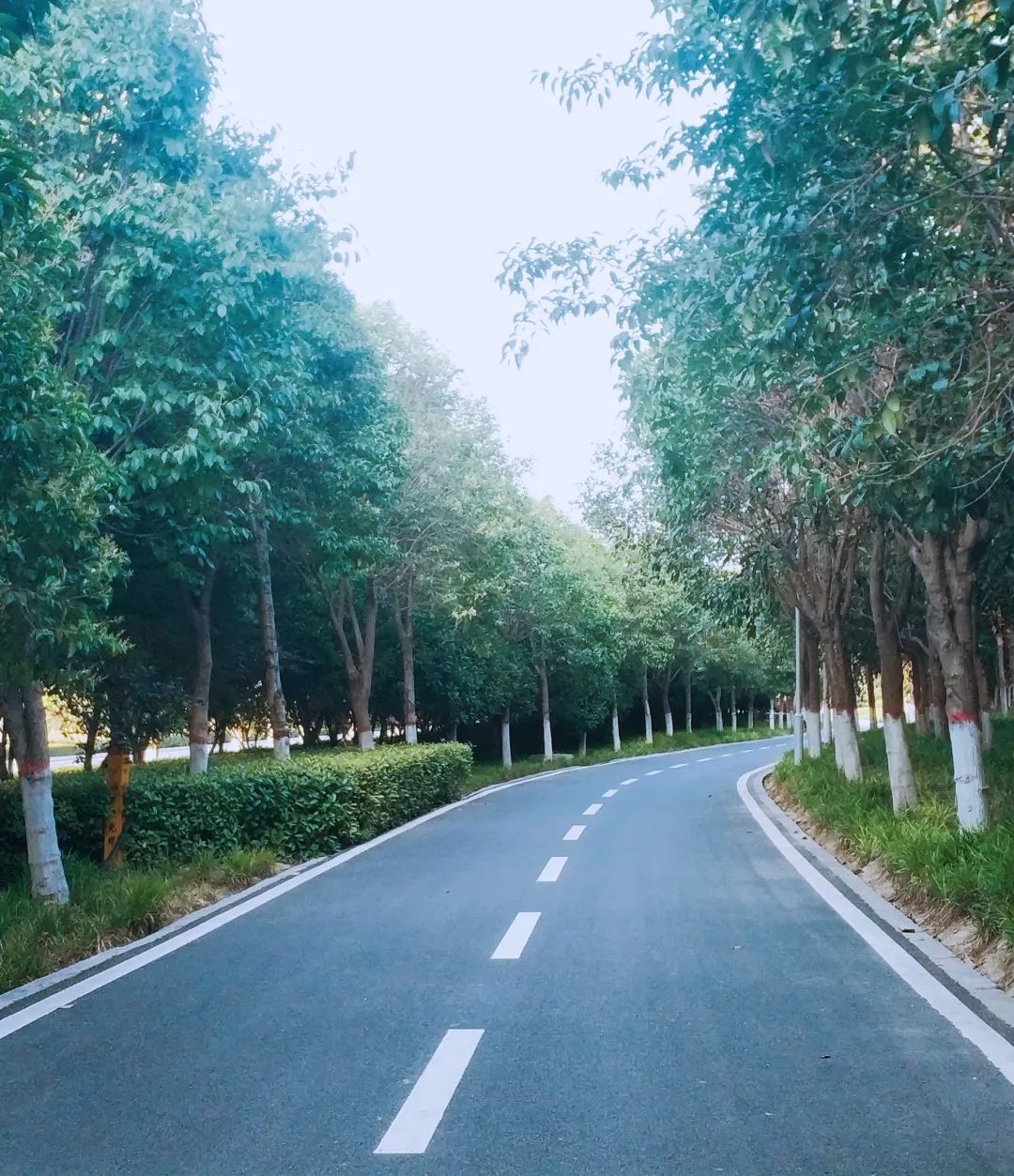 小说诸天万界无敌是多么寂寞,无敌是多么寂寞完整版一口气看完