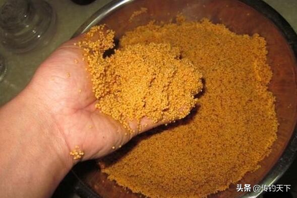 冬天酒米打窝一般多久发窝,冬天钓鱼发窝慢怎么办