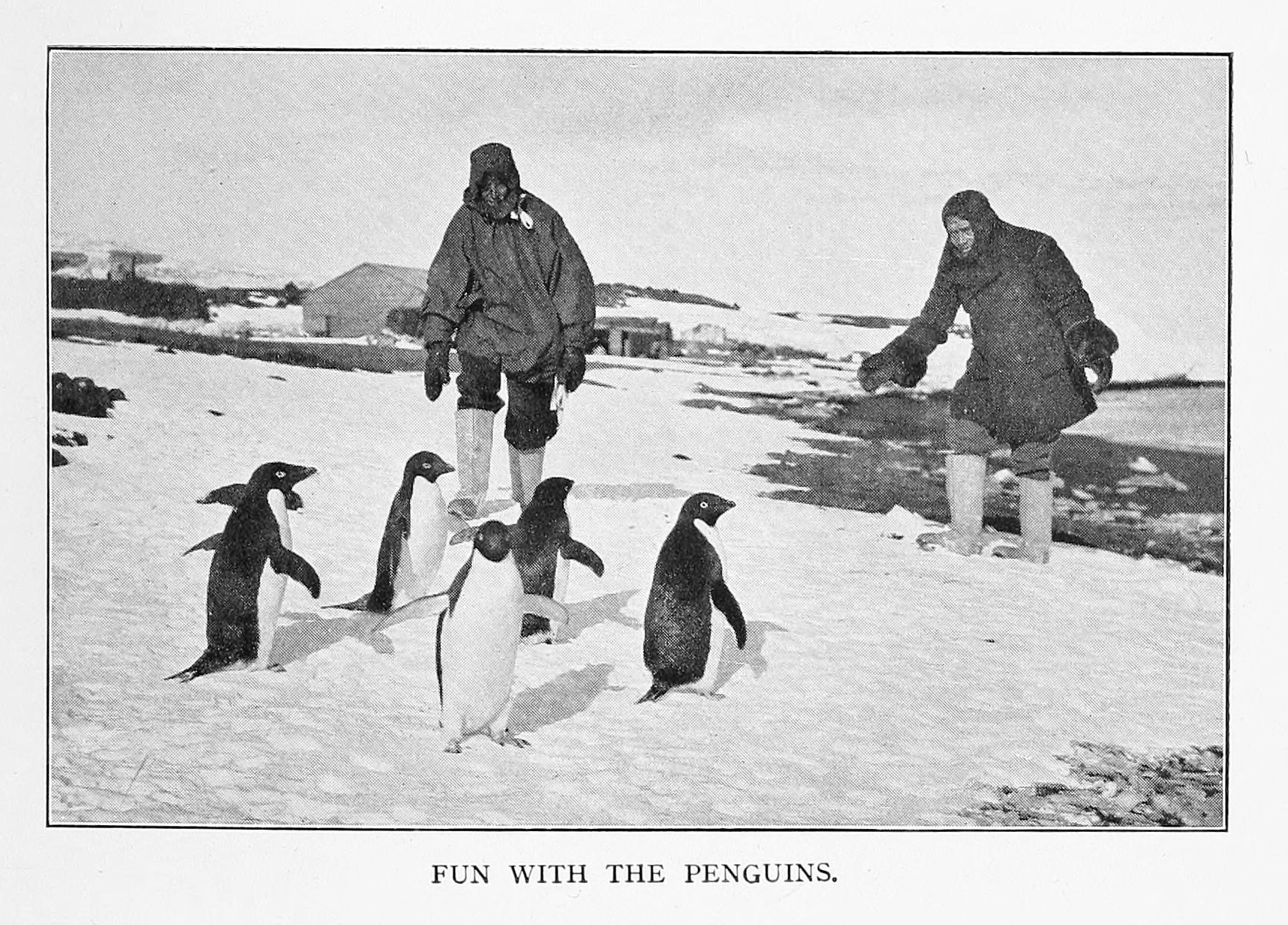 苹果手机的拍照技术,苹果手机有哪些拍照技术