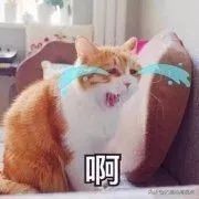 tvb港剧粤语经典语录,广东人讲粤语经典语录