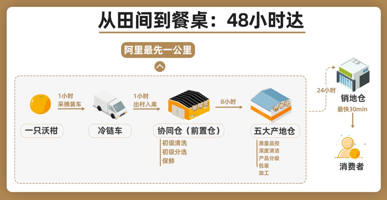淘宝特价版促消费助力外贸转内销,淘宝特价版全靠淘客推广吗
