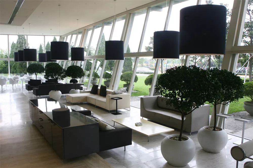 明强小学皇都花园,七宝皇都花园三期地址