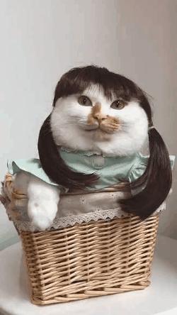 网上买的连衣裙到货了，店家连夜打电话跪求删除好评照片太尴尬了