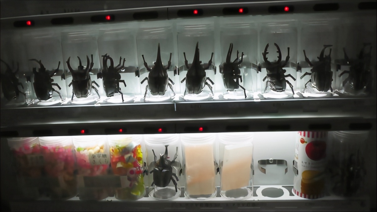 日本奇葩自动售卖机,日本顶级自动售货机