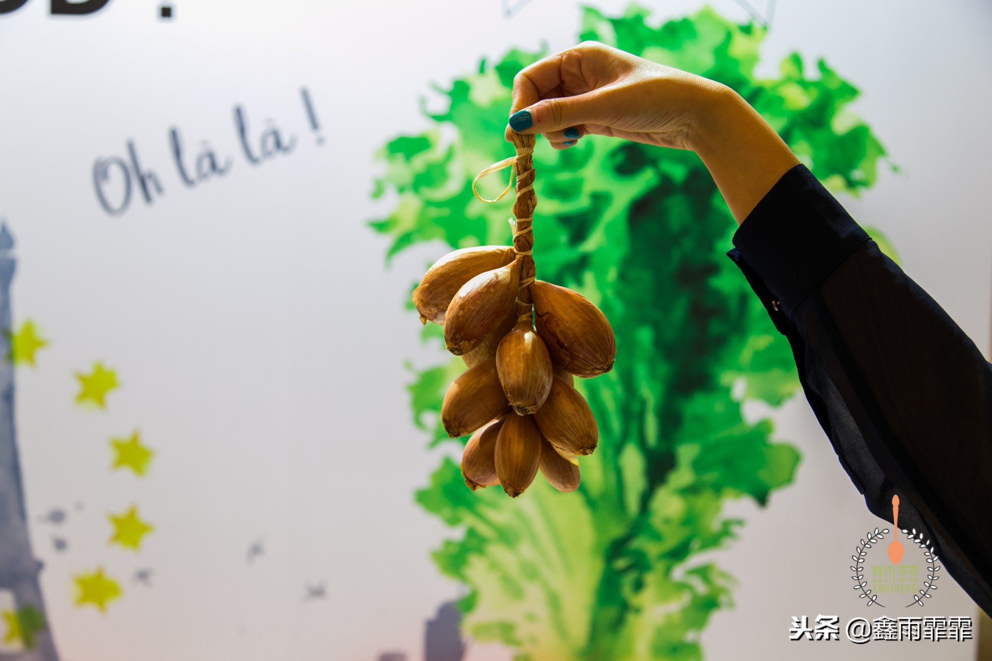 5万斤胡萝卜卖不出去,一斤胡萝卜能卖多少钱