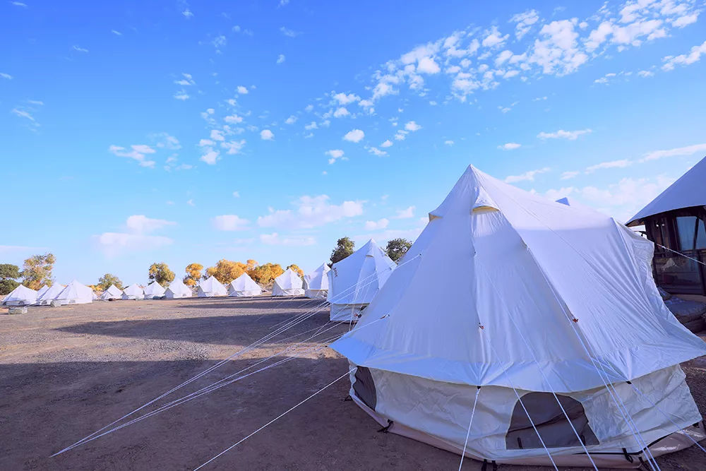 到额济纳旗怎么去胡杨林,五一去额济纳旗胡杨林好看不